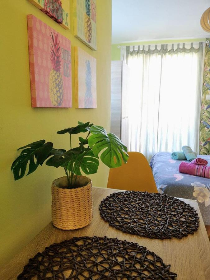 Apartament Tropical Loft With View Wolos Zewnętrze zdjęcie