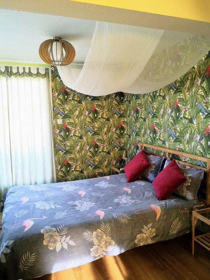 Apartament Tropical Loft With View Wolos Zewnętrze zdjęcie